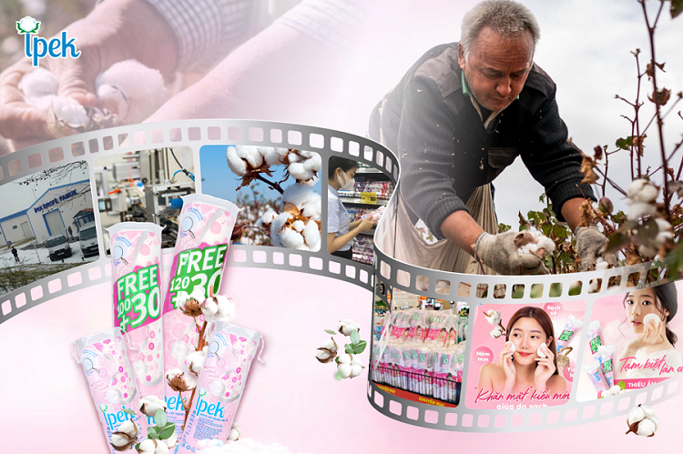 [VIETNAMNET] Ipek - Hành trình nỗ lực trở thành bông tẩy trang được yêu thích